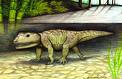 carboniferous animal